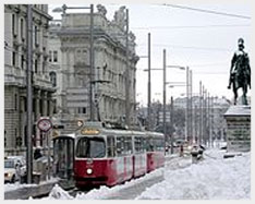 Vienna Cars